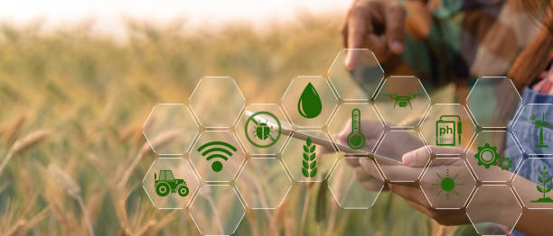 istock Smart farming concept. Farmer with technology digital tablet on background of wheat field. Professional farmers use internet of things (IOT) computers system to manage farms. agriculture modern idea. 1435995201