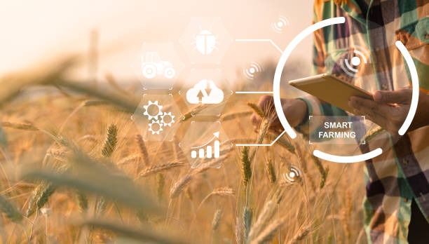 istock Smart farming concept. Farmer with technology digital tablet on background of wheat field. Professional farmers use internet of things (IOT) computers system to manage farms. agriculture modern idea. 1435995230