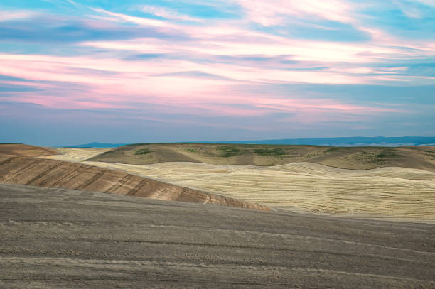 istock View of harvested wheat fields 1435997119