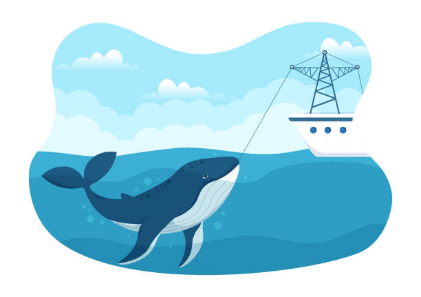 Whale Hunting with Whales Caught by Fisherman in the Middle of the Deep Sea for Sale in Hand Drawn Flat Cartoon Templates Illustration Whale Hunting with Whales Caught by Fisherman in the Middle of the Deep Sea for Sale in Hand Drawn Flat Cartoon Templates Illustration whaling stock illustrations