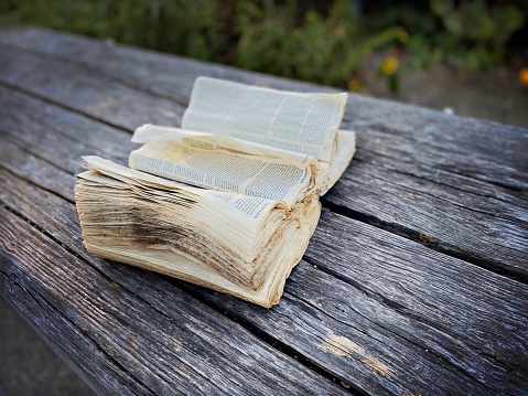 This is a photograph of a Bible on a retro wood background
