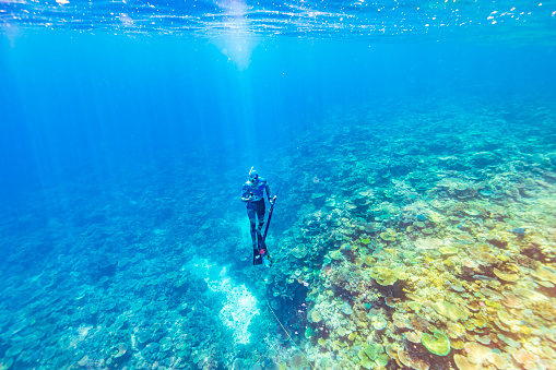 Diver swimming over healthy coral reef ecosystem with fish and natural sun light rays and deep blue ocean. Great Barrier Reef, Queensland, Australia.