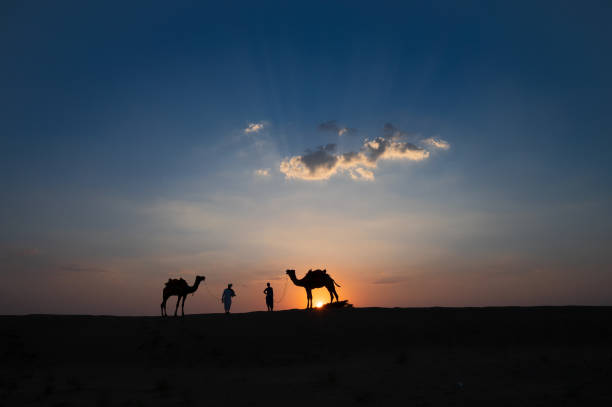 인도 라자스탄 타르 사막의 모래 언덕에서 두 마리의 낙타와 낙타의 실루엣. 석양이 있는 구름, 배경에 하늘. 까멜러는 관광객들이 낙타를 타고 생계를 유지합니다. - india rajasthan thar desert travel 뉴스 사진 이미지