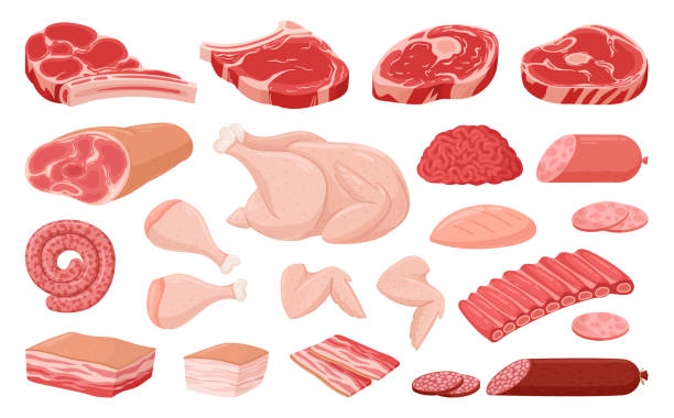 cartoon-fleisch, hühnerbrust, rippchen, schweine- und rindersteak. rohkost, speck, burger-patty, rindersteak und würstchen flache vektorillustrationssammlung. fleischwaren der metzgerei - raw bacon stock-grafiken, -clipart, -cartoons und -symbole