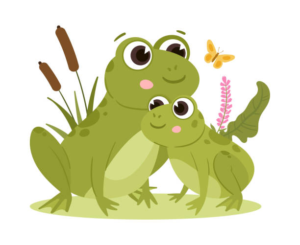 Cartoon Frogs Green Amphibian Mom And Baby Cute Froggy In Natural Habitat  Water Animals With Pond Reeds Flat Vector Illustrations Green Frogs Family  Stock Illustration - Download Image Now - iStock
