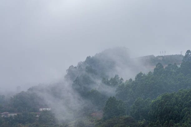 Clouds rising from the mountain after rain