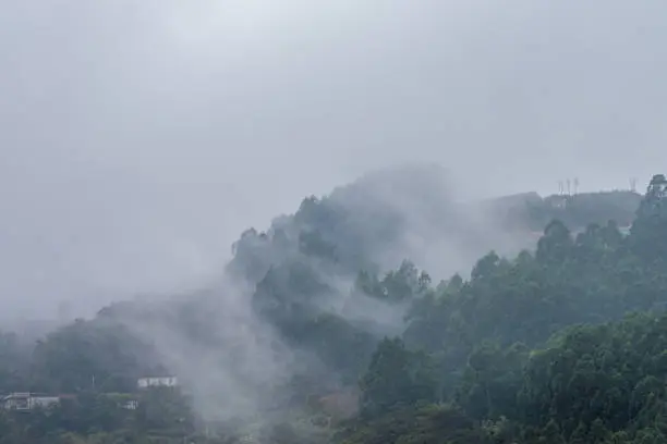Photo of Clouds rising from the mountain after rain
