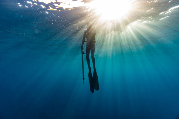 istock Spear fisherman, exploring and hunting for fish in the wide open deep blue ocean 1436005368