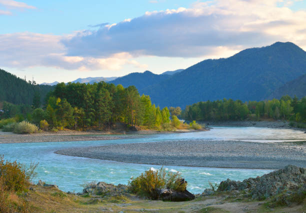 istock The Katun River in Altai 1436005907