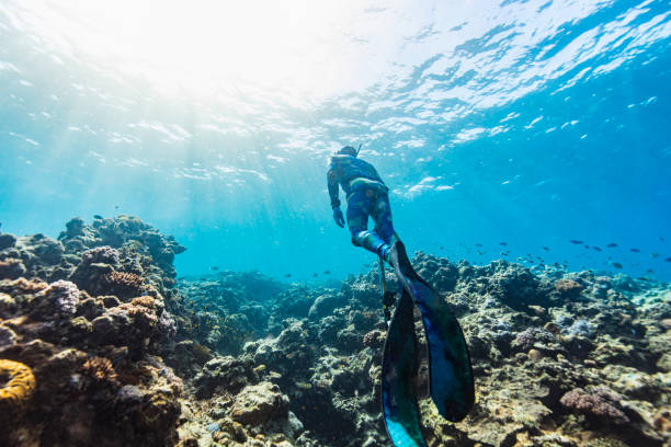 Camouflaged diver swimming over healthy coral reef ecosystem into bright sunlight rays
