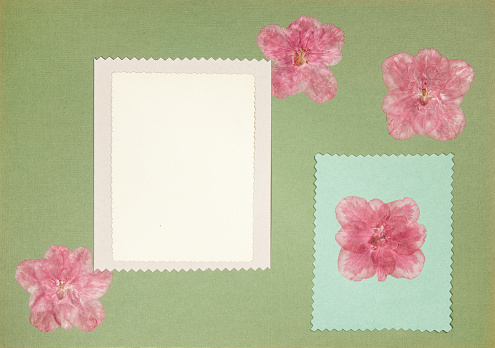 Page from an old photo album. Flowers azalea. Scrapbooking element decorated with leaves, flowers and petals flowers. For cards, invitations und congratulations. Use in scrapbooking, greetings.