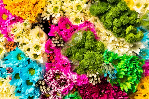 Photo of Silleteros parade, flower fair in the city of Medellin - Colombia