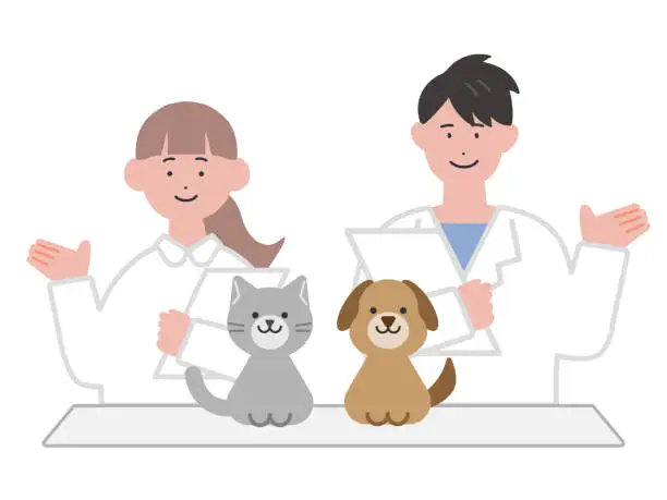 Vector illustration of A veterinarian giving guidance and a dog and cat sitting on an examination table Illustration of an animal hospital