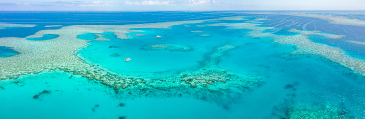 Aerial view of Great Barrier Reef in Whitsunday's Queensland Australia, famous love heart reef.