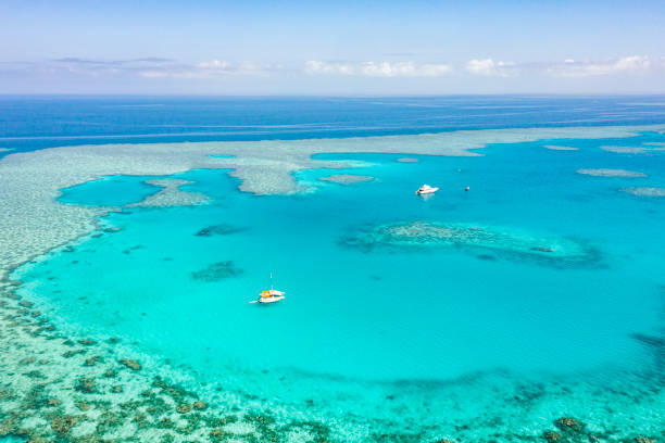 Aerial view of boats moored at the great barrier reef marine park, Queensland, Australia stock photo