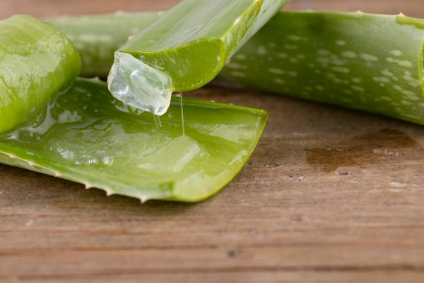 istock Aloe vera in a spoon on wood. 1436025251