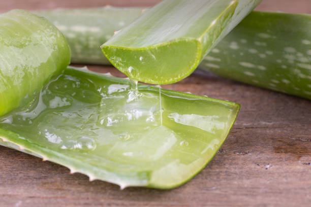 istock Aloe vera in a spoon on wood. 1436025256