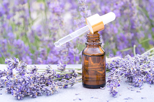 Dropper bottle with lavender cosmetic oil or hydrolate against lavender flowers field as background. Herbal cosmetics and modern apothecary concept. Lavender beauty products