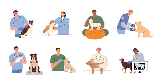 ilustraciones, imágenes clip art, dibujos animados e iconos de stock de hospital para perros - clínica veterinaria