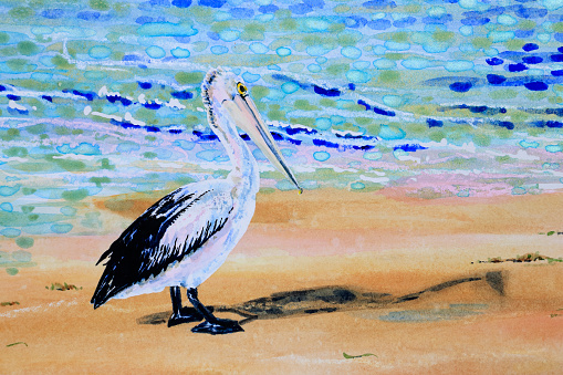 An Australian Pelican on a sunny Queensland beach, no sky. Watercolor painting with resist technique, paraffin, salt effects, and fine splatter.  Painting by Judi Parkinson using her own photography resources.