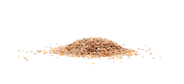 istock Plantago Ovata Seeds Isolated, Psyllium Husk, Isabgol Ispaghula 1436028219
