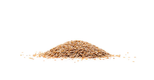 istock Plantago Ovata Seeds Isolated, Psyllium Husk, Isabgol Ispaghula 1436028223