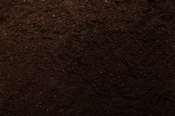 istock Quality ground, soil, for planting plants close up, texture 1436029799