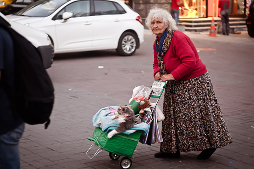 Kyiv, Ukraine. September 14, 2012. An elderly woman asks for alms using domestic animals. Street photo, the problem of poverty.