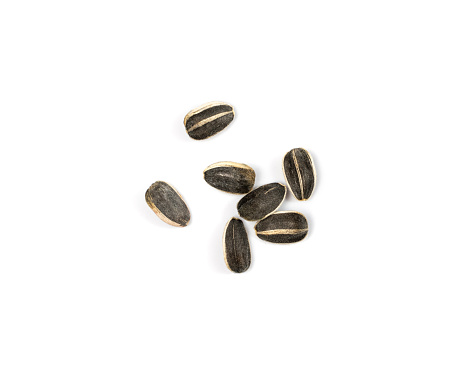 Sunflower seeds isolated. Raw sunflower seed group, sun flower grains with shell, fresh edible striped oil seeds heap on white background top view