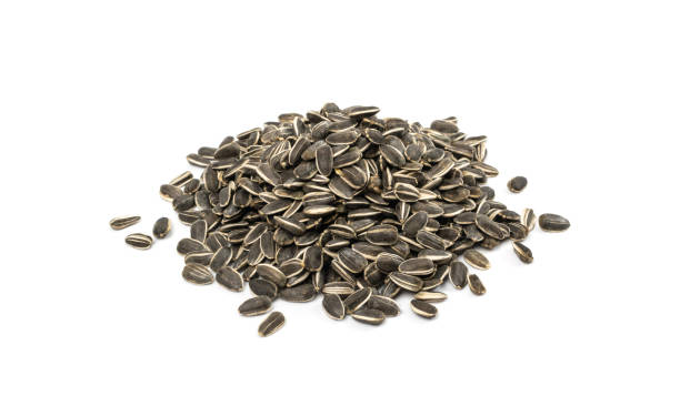 istock Sunflower Seeds Pile, Striped Raw Seeds Isolated Top View 1436030831