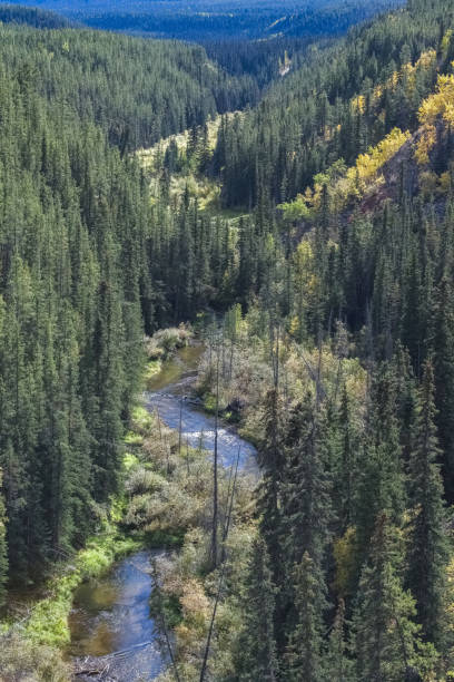 istock Canada, Yukon, view of a mountain river 1436031214
