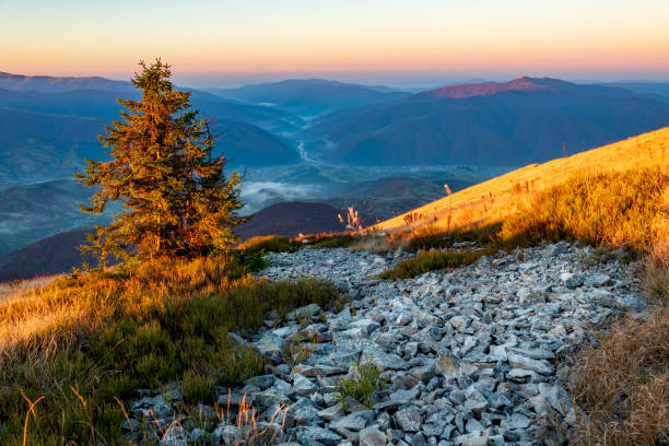 istock Stone river with foggy valley 1436033596