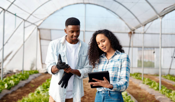 istock Black people, agriculture and farm checking tablet for farming data on vegetable production for sustainability. African American man and woman farming together on touchscreen in economic growth 1436039004