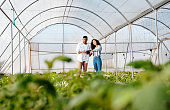 istock Agriculture, greenhouse farming and couple with tablet for management of harvest time. Startup farm, sustainability and growth in small business for man and woman agro farmer in nursery of vegetables 1436039013
