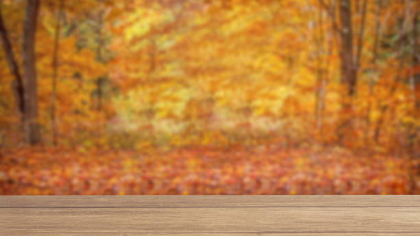 istock The wood table on autumn forest background  3d rendering 1436039385