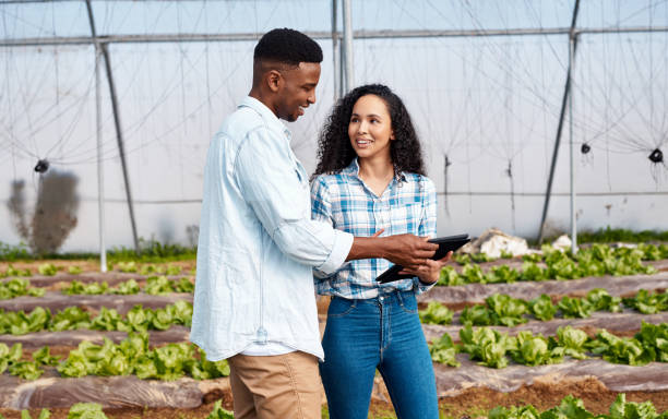 agriculture, sustainability and tablet for growth with farmer working on environment, development and energy in field. agro, planning and collaboration with people on farm for digital innovation - homegrown produce environment greenhouse futuristic imagens e fotografias de stock