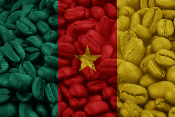 Flag of the African country