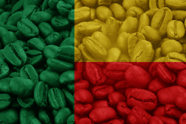 Roasted coffee beans in a row on yellow background