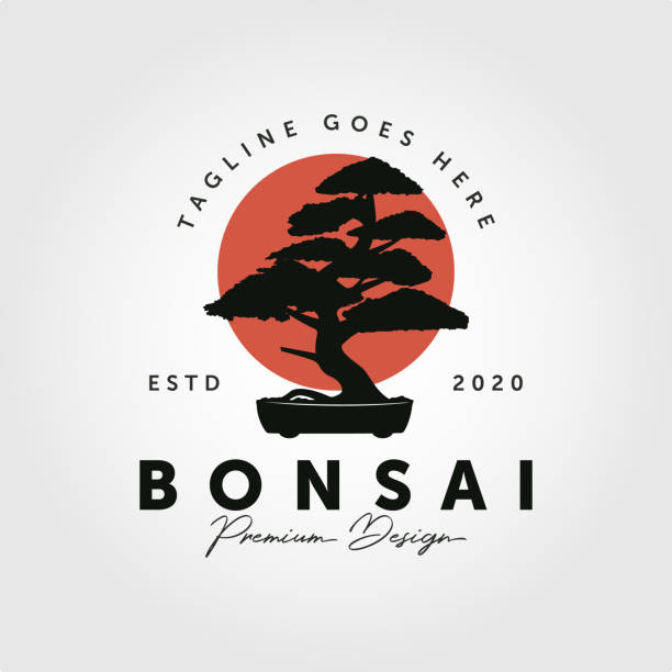 illustrations, cliparts, dessins animés et icônes de bonsaï design silhouette icône vecteur - bonsaï