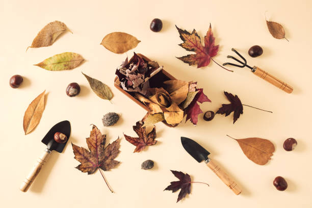 istock Autunmn leaves, chestnuts and garden tools on light yellow backgrolund 1436043449