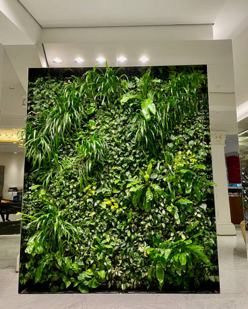 istock Green wall with tropical plants and flowers , vertical garden under artificial lighting. 1436044203