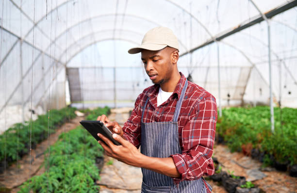 istock Farm, tablet and sustainability with a man farmer using technology to manage crops in his greenhouse. Agriculture, innovation and internet with a male working in the farming industry for growth 1436045056