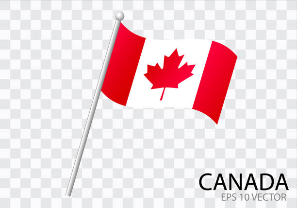 флаг канады с флагштоком, развевающимся на ветру. векторная иллюстрация - canadian flag illustrations stock illustrations