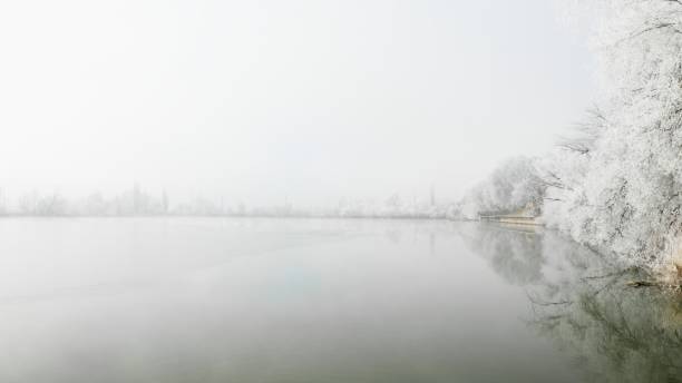 istock Tree branches covered with frost and snow hanging over a river - misty winter day landscape 1436048196
