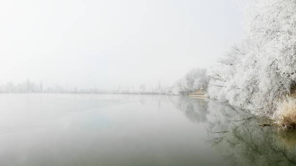 istock Tree branches covered with frost and snow hanging over a river - misty winter day landscape 1436048199