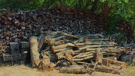 Huge stack of firewood logged from the forest - woodpile and lumber