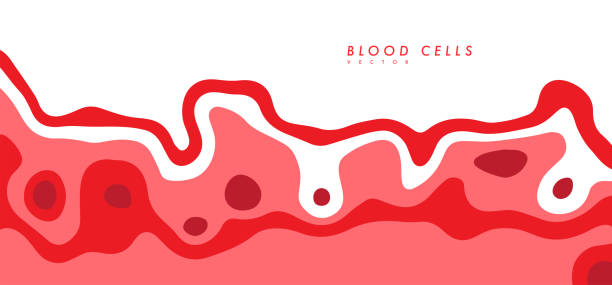 menschliche rote blutkörperchen. - blood cell formation stock-grafiken, -clipart, -cartoons und -symbole