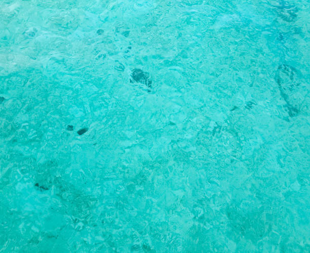 istock Shining blue water ripple background. Summer concept 1436050950