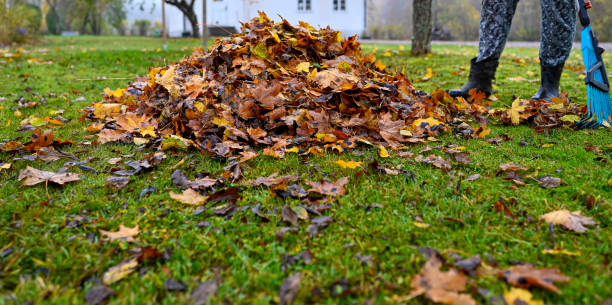 istock raking fallen leaves in back garden october 22 2022 1436051105
