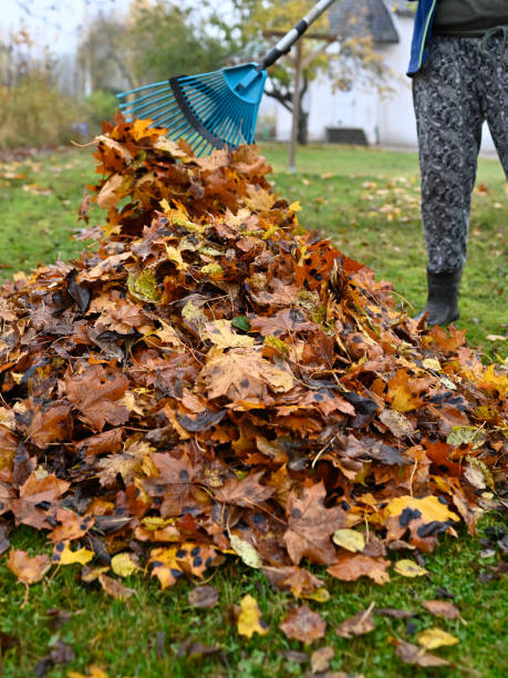 istock raking fallen leaves in back garden october 22 2022 1436051107